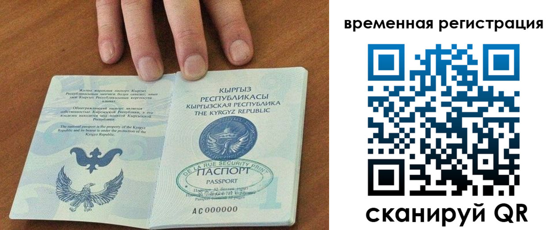 где прописаться в Лодейном Поле